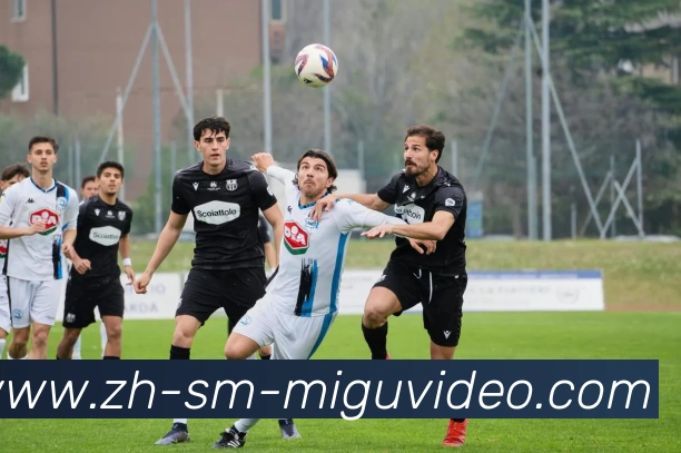 咪咕体育平台生态图